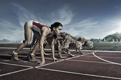 Sprint Against Cheetah Abstract HD Wallpapers