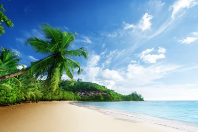 Nature Scenery Sea Beach Sky Clouds Palm Trees Ocean Tropical ...