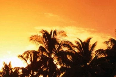 Top Iphones 4 5 6 7 Sunset Beach Wallpapers & Backgrounds