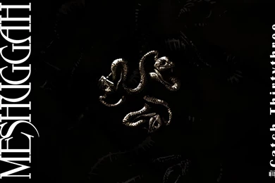 Meshuggah Computer Wallpapers, Desktop Backgrounds