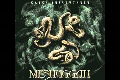 Meshuggah   Sum (with Lyrics)   HD   YouTube