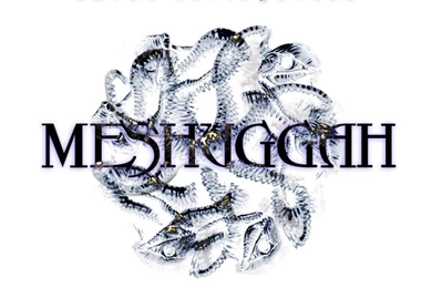 Meshuggah By Abhadreshwara On DeviantArt