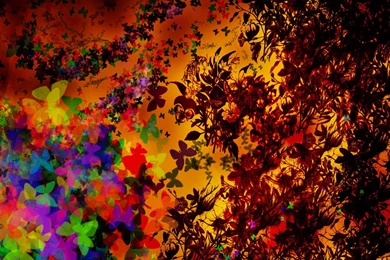 Free 43 Colorful Desktop Backgrounds   Technosamrat