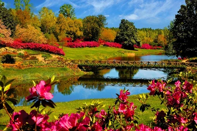 Jestingstock.com Colorful Nature Wallpapers Hd