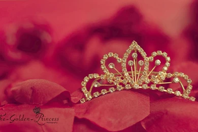 Princess' Crown .. By The Golden Princess On DeviantArt