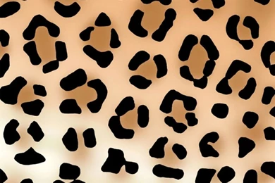 Pictures Of Cheetah Print Wallpapers   Wallpapers Cave