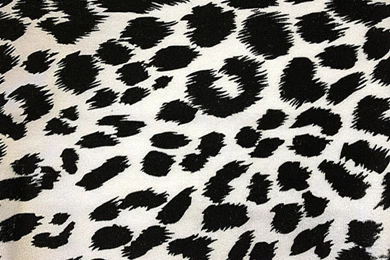 Leopard Print Wallpapers