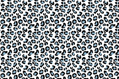 Leopard Print Wallpapers   Wallpapers