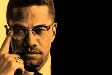 Malcolm X And Magneto: Comparing History To Fiction