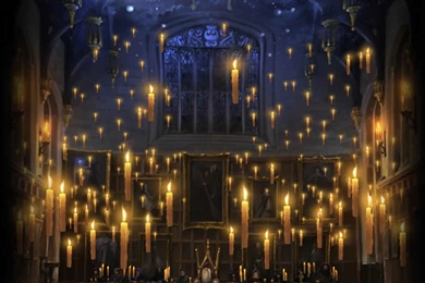 Image   B1 background.jpg   Harry Potter Wiki   Wikia