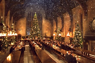 HARRY POTTER Fans Can Dine In Hogwarts' Great Hall This Christmas ...