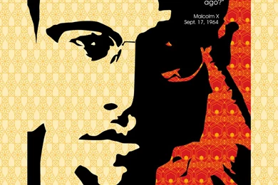 DeviantArt: More Like Malcolm X Wallpapers By Dmaabsta