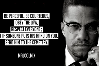 Quotes About Racism Malcolm X. QuotesGram