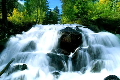 Wallpapers Magentic Starry Nights Bmp Picture By Witchiepoo Photos ...