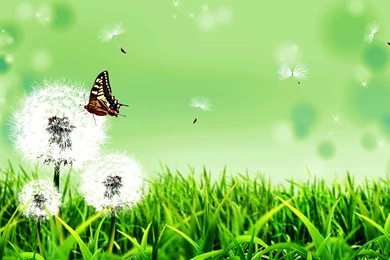 The Cute Wallpapers For Desktop Background: 3D By Free Download ...