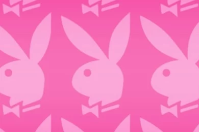 Playboy Bunny Logos On Pinterest