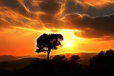 Epic Wallpapers 2560x1600   (