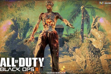 Playable Black Ops 2 Zombies Desire Over Multiplayer