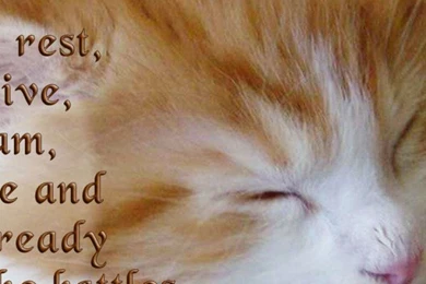 Top 10 Cute Good Night Wallpapers For Facebook