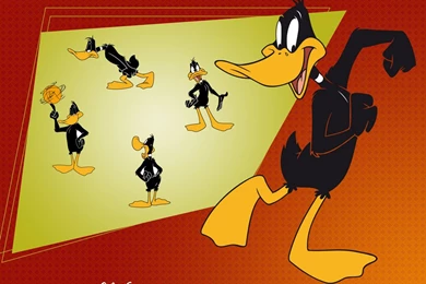 Daffy Duck Wallpapers   Looney Tunes Wallpapers (5226651)   Fanpop