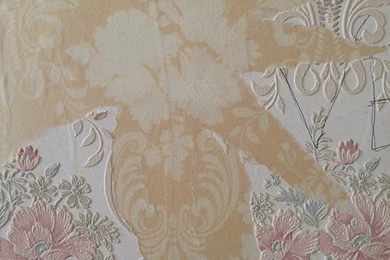 Daily Diatribe: Stripping   Wallpapers
