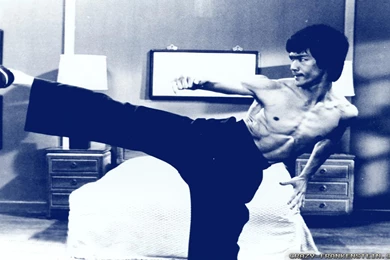Bruce Lee Wallpapers   Male Celebrity   Crazy Frankenstein