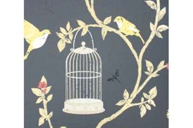 Buy Designer Nina Campbell Birdcage Walk Green Wallpapers