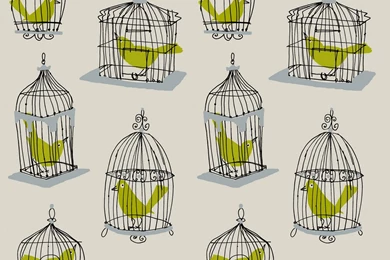 Birdcage Walk   Shelley Davies