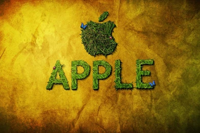 Apple Wallpapers Hd Wf1037