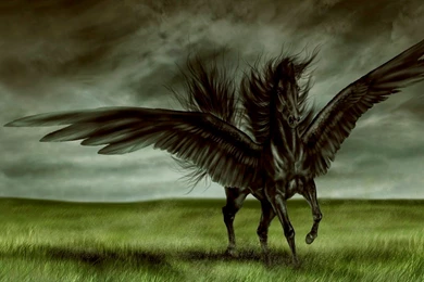 Running Horse HD Wallpapers For Desktop   Zibrato