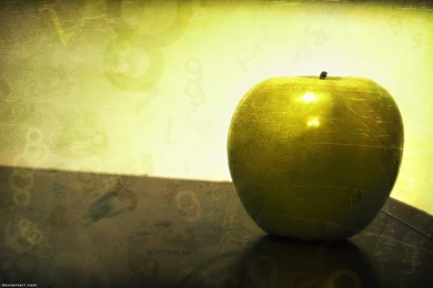 My Art   HD Wallpapers Wallpapers (19670143)   Fanpop