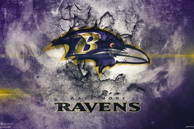 Files Of Ravens Funny Pictures
