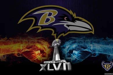 Ravens Super Bowl Wallpapers   Bing Images