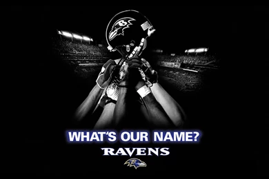 Baltimore Ravens Wallpapers 29849 Photo