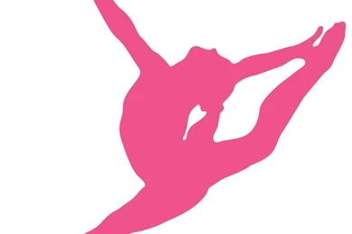 Gymnastics Silhouette Style Graceful Leap Wall Decal