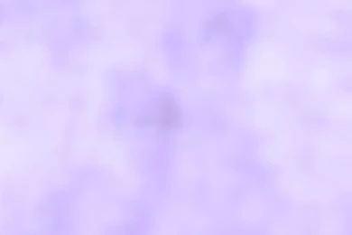 White Springs B 'n B: About The House