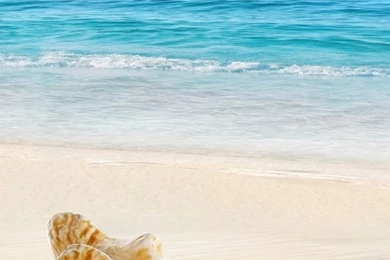 Summer ★ iPhone Wallpapers On Pinterest