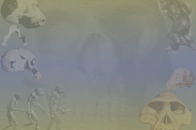 Creation Science PowerPoint Backgrounds