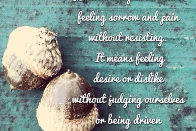 iPhone Wallpapers With Quote From "Radical Acceptance: Embracing ...