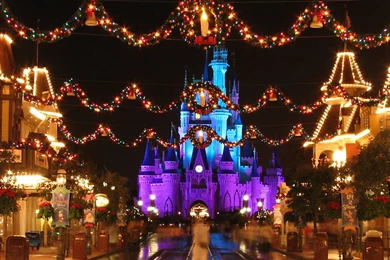 Disney World Christmas, Fortress, Road, Holiday, 2560x1440 HD ...
