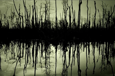 Green Vector Hdtv Wallpapers Hd Wallpapers