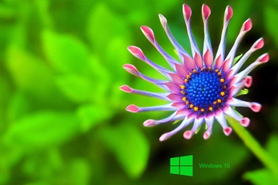 Windows 10 Desktop Backgrounds With Scientific Space Planet Galaxy ...