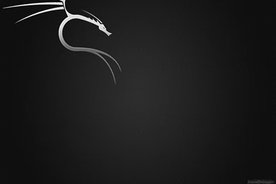 DeviantArt: More Like BackTrack Carbon Wallpapers 2 By Assadotcom