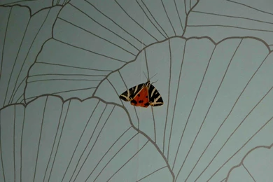 Art Deco Wallpapers   Best Car 2015