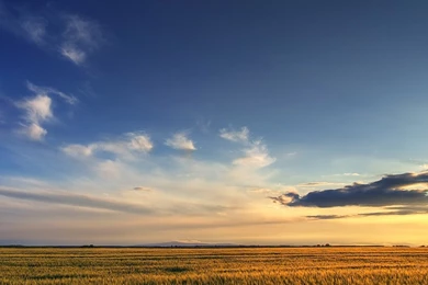 Ipad Ipad2 Hd Quality Backgrounds Picture   Free High Quality ...