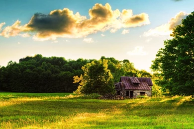 High Quality Images Hd Backgrounds 8 HD Wallpapers ...