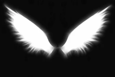 Wings Black Backgrounds Fresh New Hd Wallpapers Best Quality Hd ...
