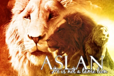 Chronicles Of Narnia   The Chronicles Of Narnia Wallpapers (481808 ...