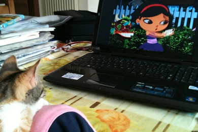 Little Einsteins  Even My Cats Likes To Watch The Show (photos ...