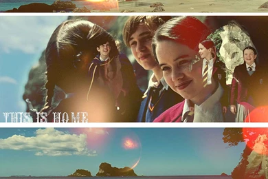 The Pevensies   The Chronicles Of Narnia Wallpapers (10316552)   Fanpop